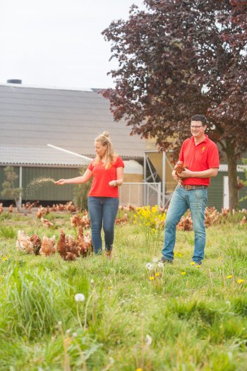 Familie van de Vis