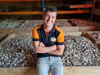 Youri biologische knoflookteler